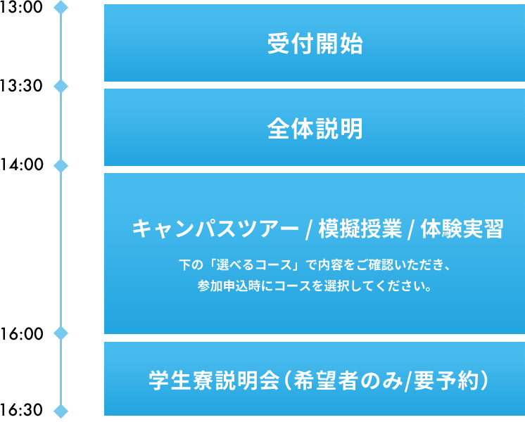 スケジュール
