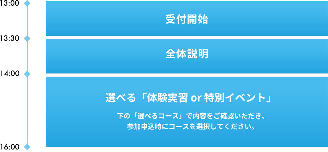 スケジュール